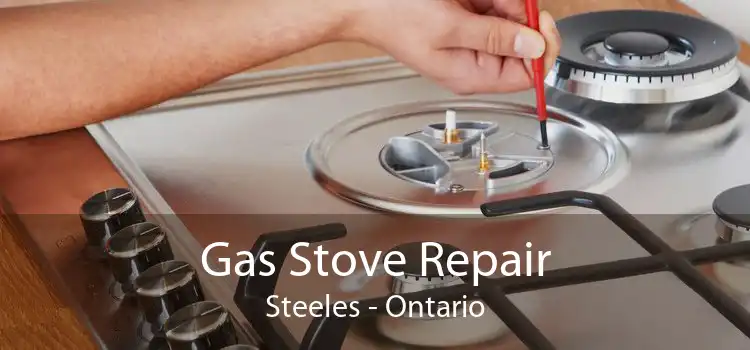 Gas Stove Repair Steeles - Ontario