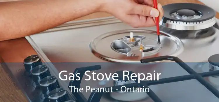 Gas Stove Repair The Peanut - Ontario