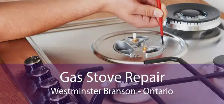 Gas Stove Repair Westminster Branson - Ontario