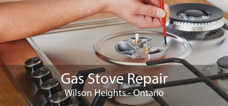 Gas Stove Repair Wilson Heights - Ontario