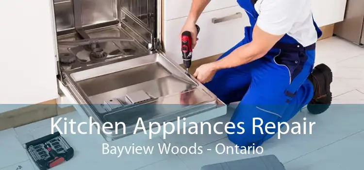 Kitchen Appliances Repair Bayview Woods - Ontario