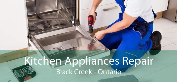 Kitchen Appliances Repair Black Creek - Ontario