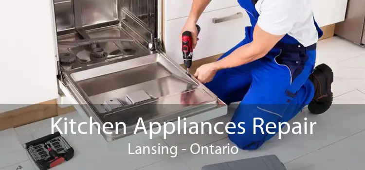 Kitchen Appliances Repair Lansing - Ontario