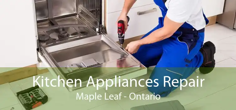 Kitchen Appliances Repair Maple Leaf - Ontario