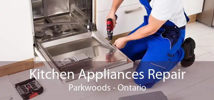 Kitchen Appliances Repair Parkwoods - Ontario