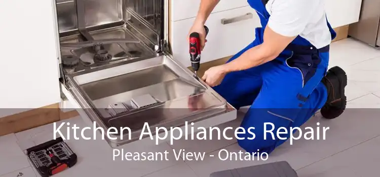 Kitchen Appliances Repair Pleasant View - Ontario