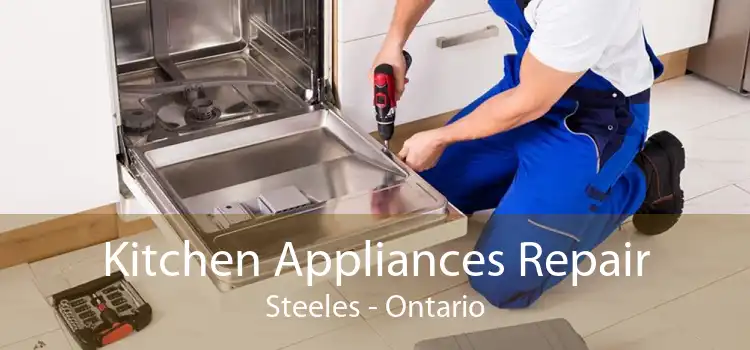 Kitchen Appliances Repair Steeles - Ontario