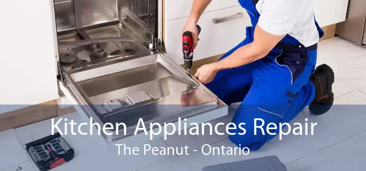Kitchen Appliances Repair The Peanut - Ontario