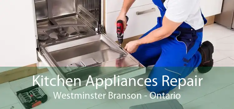 Kitchen Appliances Repair Westminster Branson - Ontario