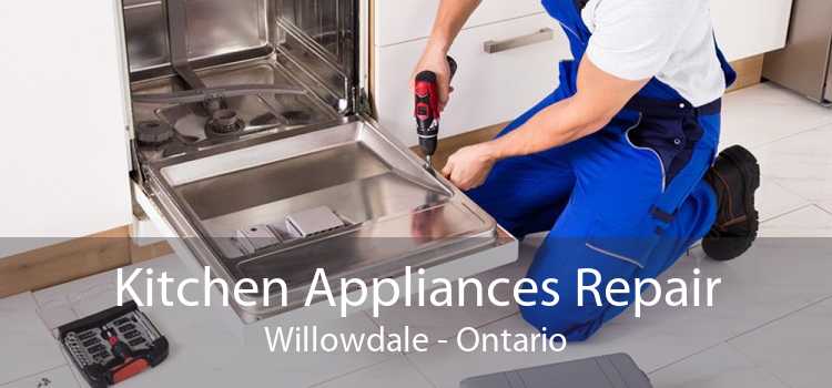 Kitchen Appliances Repair Willowdale - Ontario