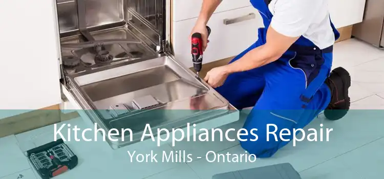 Kitchen Appliances Repair York Mills - Ontario