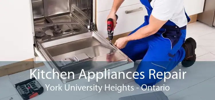 Kitchen Appliances Repair York University Heights - Ontario