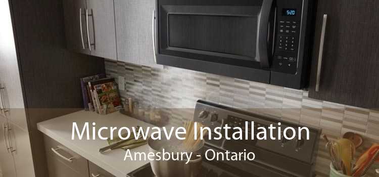 Microwave Installation Amesbury - Ontario