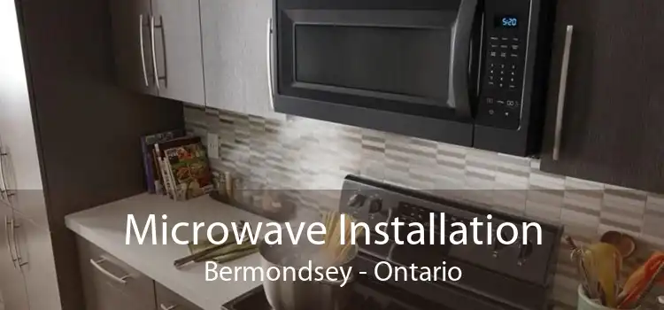 Microwave Installation Bermondsey - Ontario