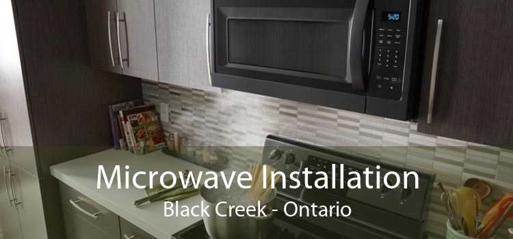Microwave Installation Black Creek - Ontario