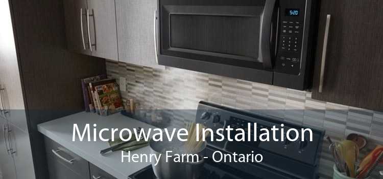 Microwave Installation Henry Farm - Ontario
