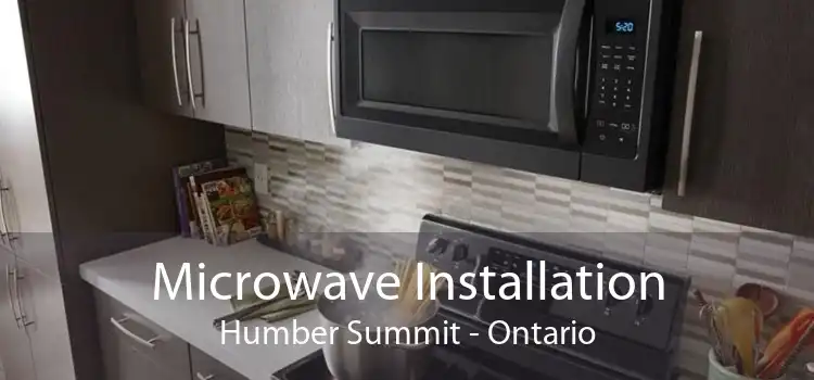Microwave Installation Humber Summit - Ontario