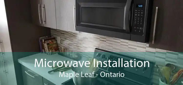 Microwave Installation Maple Leaf - Ontario