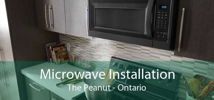 Microwave Installation The Peanut - Ontario