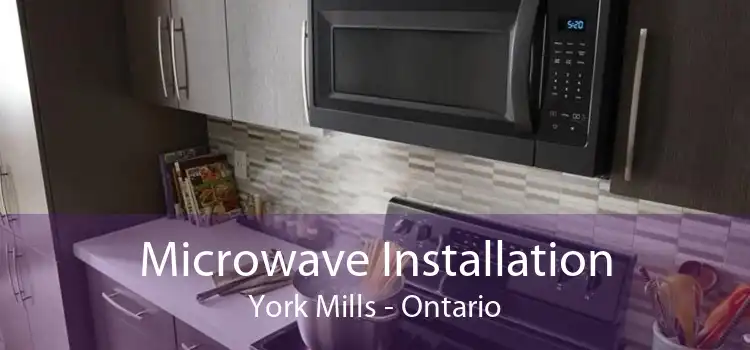 Microwave Installation York Mills - Ontario