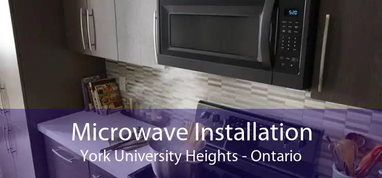 Microwave Installation York University Heights - Ontario