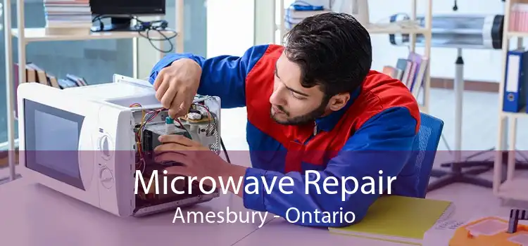 Microwave Repair Amesbury - Ontario