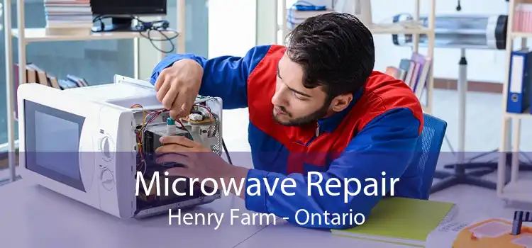 Microwave Repair Henry Farm - Ontario
