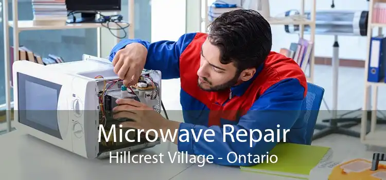 Microwave Repair Hillcrest Village - Ontario