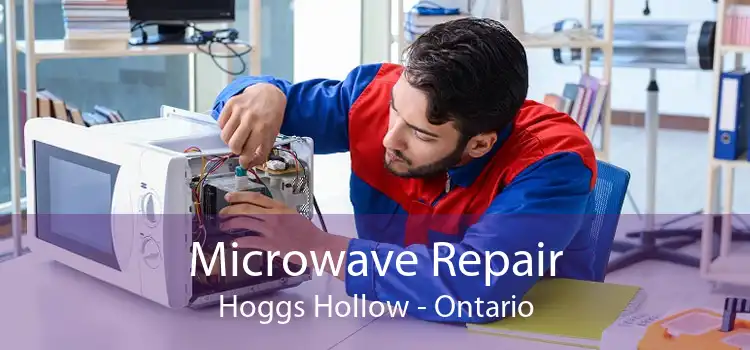 Microwave Repair Hoggs Hollow - Ontario