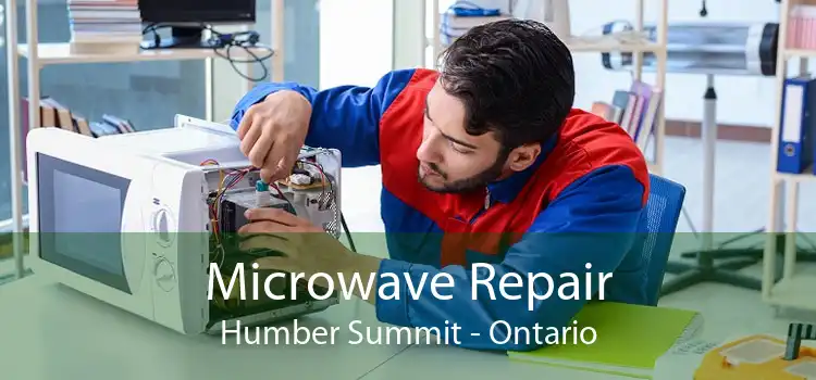 Microwave Repair Humber Summit - Ontario