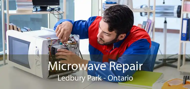 Microwave Repair Ledbury Park - Ontario