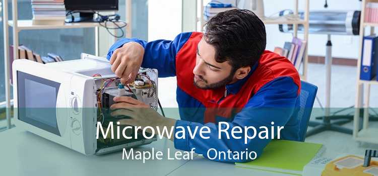 Microwave Repair Maple Leaf - Ontario
