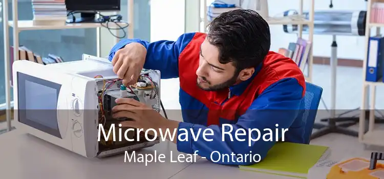 Microwave Repair Maple Leaf - Ontario