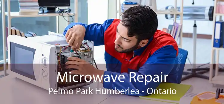 Microwave Repair Pelmo Park Humberlea - Ontario