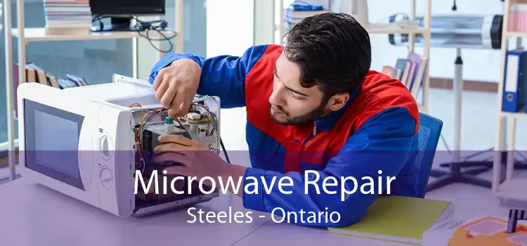 Microwave Repair Steeles - Ontario
