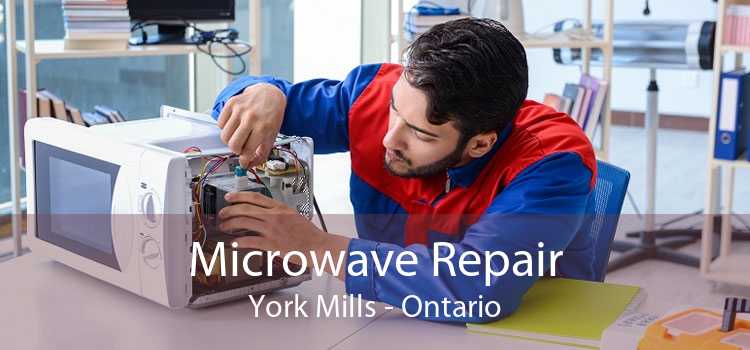 Microwave Repair York Mills - Ontario