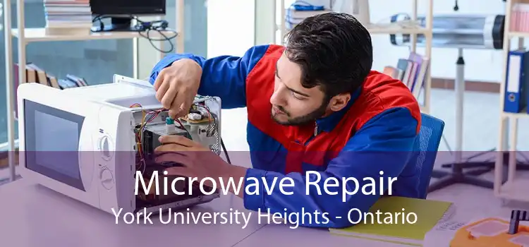 Microwave Repair York University Heights - Ontario