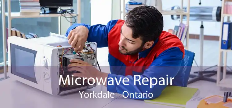 Microwave Repair Yorkdale - Ontario