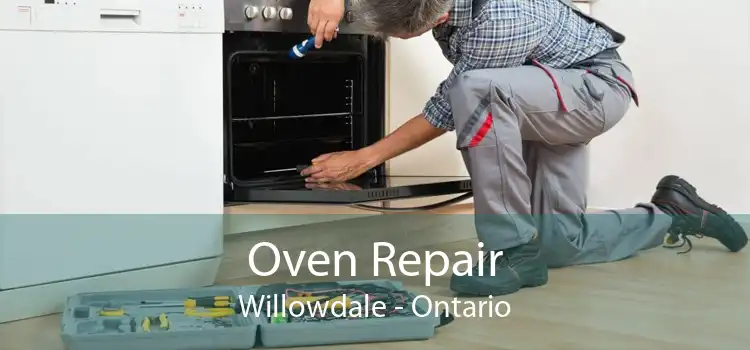 Oven Repair Willowdale - Ontario
