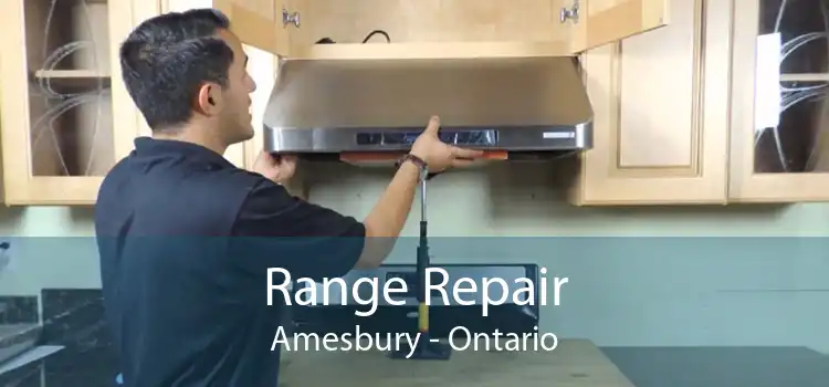 Range Repair Amesbury - Ontario