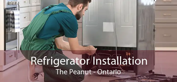Refrigerator Installation The Peanut - Ontario