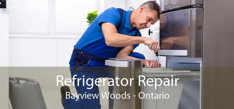 Refrigerator Repair Bayview Woods - Ontario