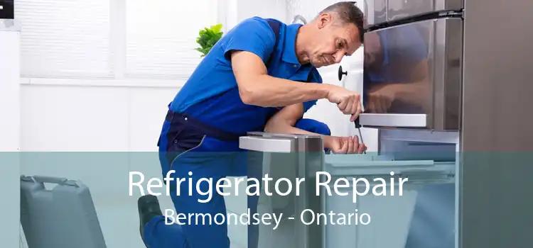 Refrigerator Repair Bermondsey - Ontario