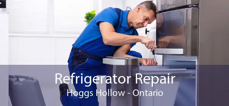 Refrigerator Repair Hoggs Hollow - Ontario