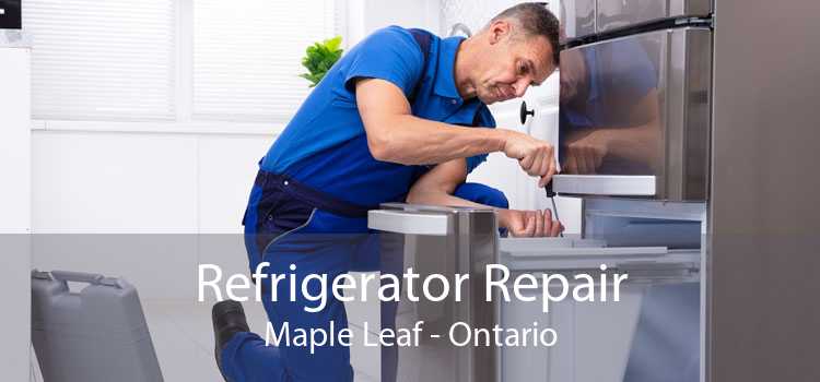 Refrigerator Repair Maple Leaf - Ontario