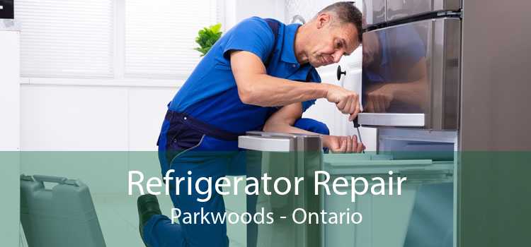 Refrigerator Repair Parkwoods - Ontario