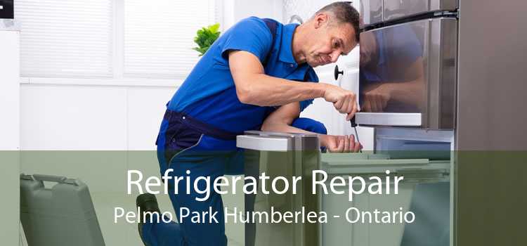 Refrigerator Repair Pelmo Park Humberlea - Ontario