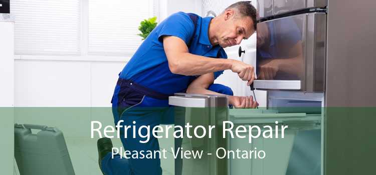 Refrigerator Repair Pleasant View - Ontario