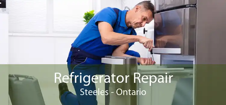 Refrigerator Repair Steeles - Ontario