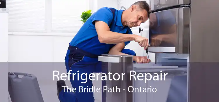 Refrigerator Repair The Bridle Path - Ontario